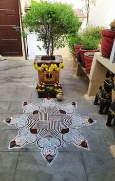 an intricately designed rug on the ground in front of a building with potted plants