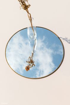 a flower in a glass vase on top of a round table with a blue sky and clouds reflected in the mirror