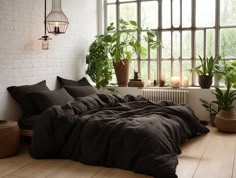 an unmade bed in front of a window with potted plants