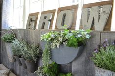 a wall mounted herb garden with the word grow on it