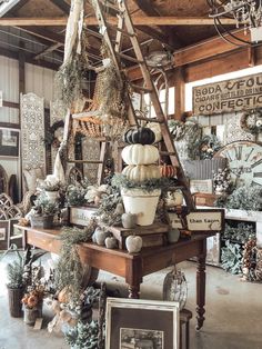 a room filled with lots of different types of plants and decorations on top of a wooden table