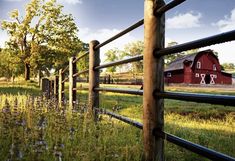 a red barn sits in the distance behind a fence with wildflowers growing on it