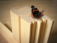 a small butterfly sitting on top of a piece of wood