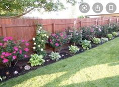 an image of a garden with flowers in the middle and grass on the other side