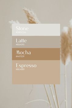 some brown and white flowers in a vase with the words latte mocha espresso