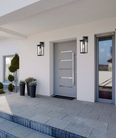 the entrance to a building with steps leading up to it and potted plants on either side