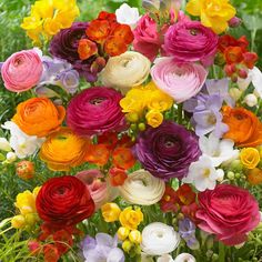 an arrangement of colorful flowers in the grass