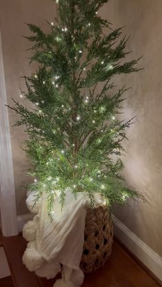 a small christmas tree with white lights in a basket on the floor next to a wall