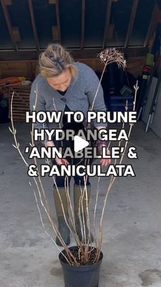 a woman standing in front of a potted plant with the words how to prune hydro