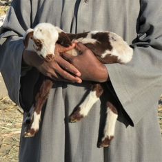 a man holding a baby goat in his arms