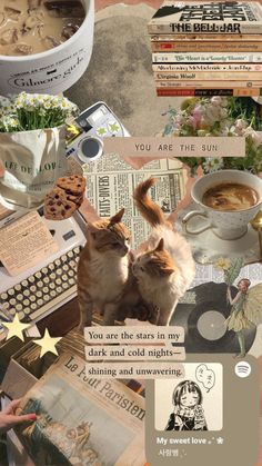 two cats sitting on top of a table next to books and cup of coffee with the caption you are the sun, you are the stars in my dark and cold nights