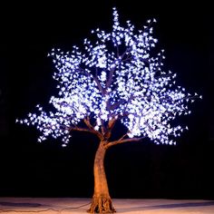 a tree that is lit up with blue lights