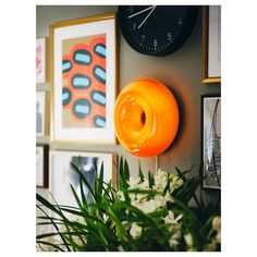 an orange donut is hanging on the wall next to some pictures and a plant