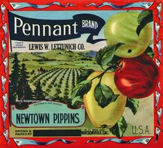 an advertisement for pennett brand with apples hanging from it's branch in front of a field