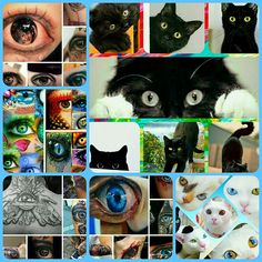 a collage of pictures with cats and eyes