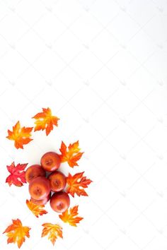 some apples and leaves on a white surface