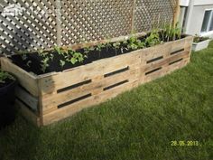 a wooden planter filled with lots of plants on top of green grass next to a fence