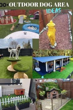 there are pictures of different dog houses in the yard, including one with a yellow fire hydrant