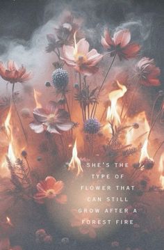 the cover of she's the type of flower that can still grow after a forest fire