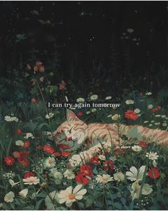 an image of a cat laying in the grass surrounded by flowers and daisies that says, i can try again tomorrow