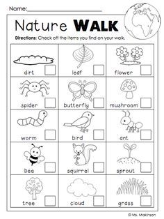 the nature walk worksheet with pictures and words to help kids learn how to write