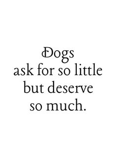 the words dogs ask for so little but deserve so much on a white background