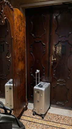 two suitcases sitting in front of wooden doors