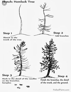 four different types of trees are shown in the diagram below, which shows how to draw them