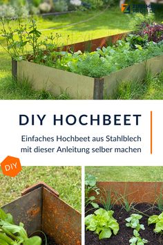 an assortment of different types of plants in a garden with the title diy hoochbeet