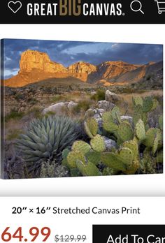 an advertisement for the great big canvass sale with cactus and mountains in the background