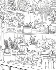 a black and white drawing of potted plants on shelves in a garden shop or nursery