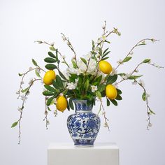 a blue and white vase filled with lemons and flowers