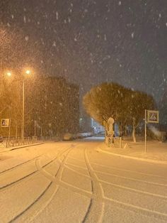 a snowy night with street lights and trees