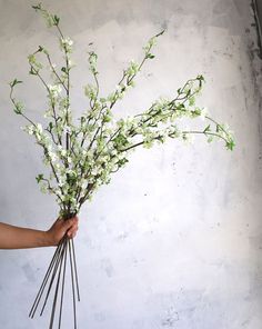 a person holding a bunch of flowers in their hand on a white wall behind them