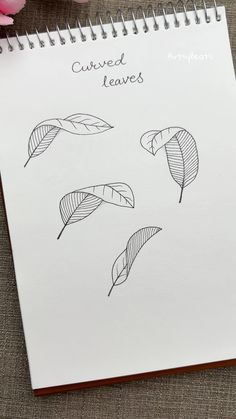 a spiral notebook with three leaves on it and the words curved leaves written in black ink