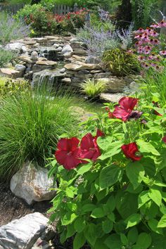 a garden with flowers and rocks in it