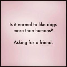 a quote that reads, is it normal to like dogs more than humans? asking for a friend