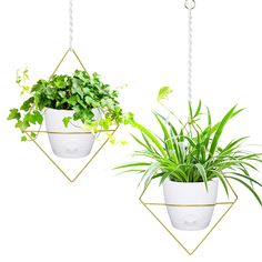 two hanging planters with plants in them, one is white and the other is gold