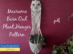 an owl plant hanger made from macrame yarn and another plant hanging on the wall