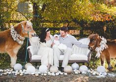 a man and woman sitting on a couch with two miniature ponies next to them