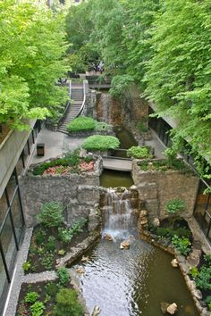 a small waterfall in the middle of a garden