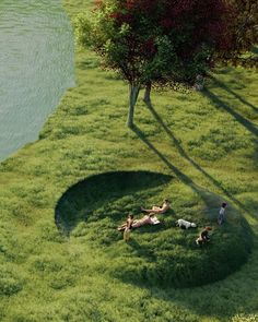 people laying in the grass near a body of water