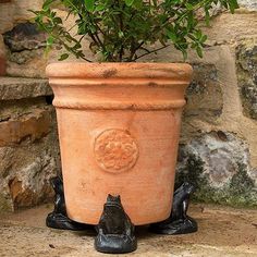 a potted plant sitting on top of a stone floor next to a statue of a cat