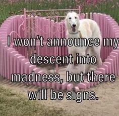 a white dog standing in the middle of a pink ring with words on it that say, i won't announce my descent into