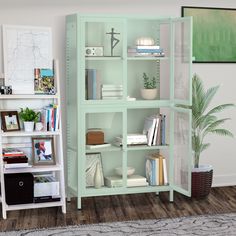 a green bookcase with many books on it in a living room next to a potted plant