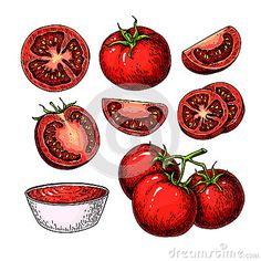 tomato slices and tomatoes on a white background royalty free stock photos, images, illustrations