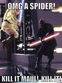 darth vader and luke star wars scene with caption that reads, omg a spider kill it maul kill it