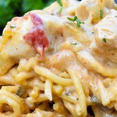 a close up of a pasta dish with chicken and cheese