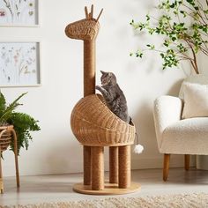 a cat sitting on top of a scratching post in a living room next to a chair