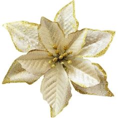 a white and gold poinsettia with leaves on it's back side